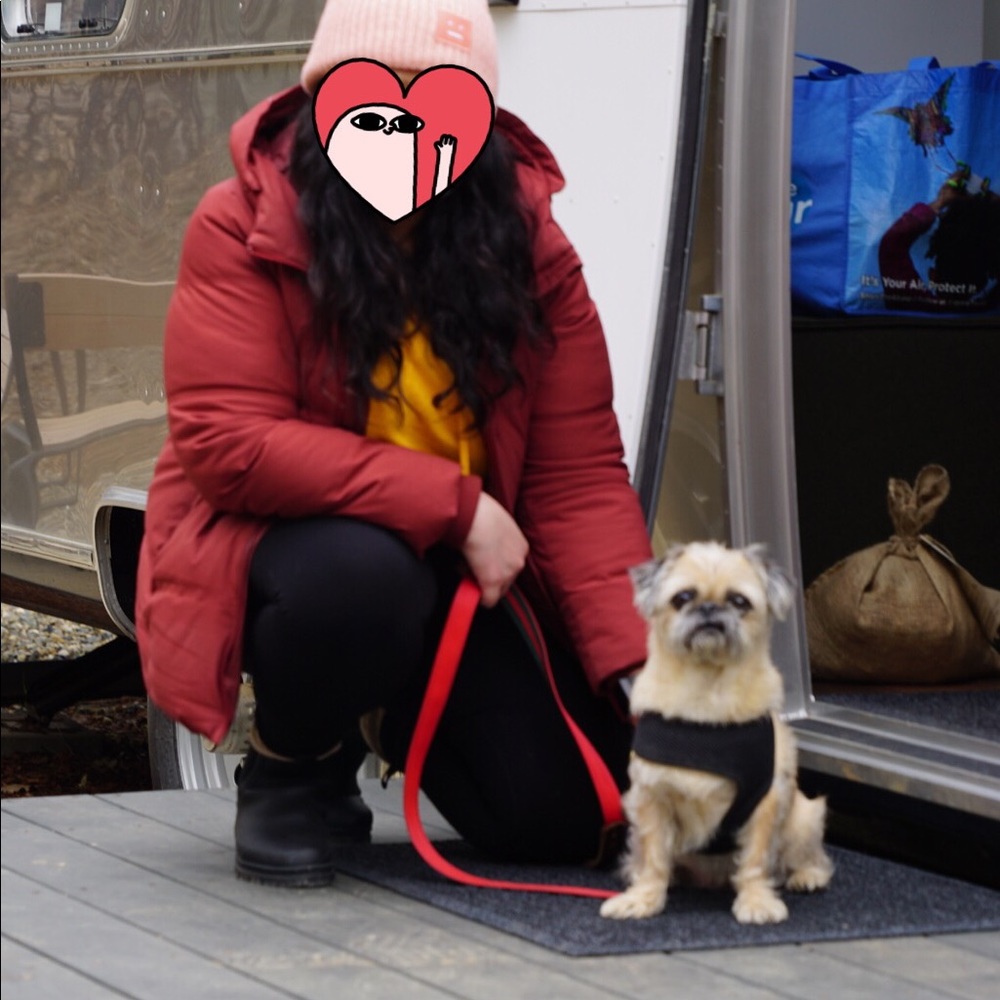 Size XL uniqlo down jacket in great condition